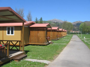 Гостиница Camping Sella  Арриондас